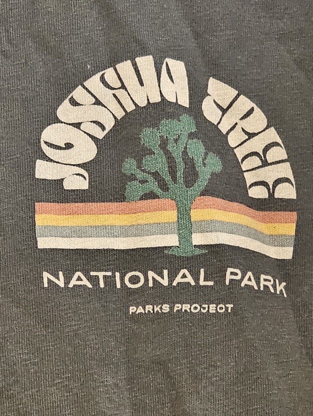 Parks Project Joshua Tree National Park Oversized T-shirt